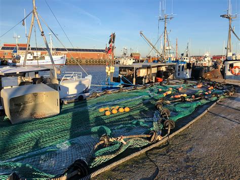 havhøkeren gilleleje|Åbningstider for Havhøkeren i Nordre Havnevej 9